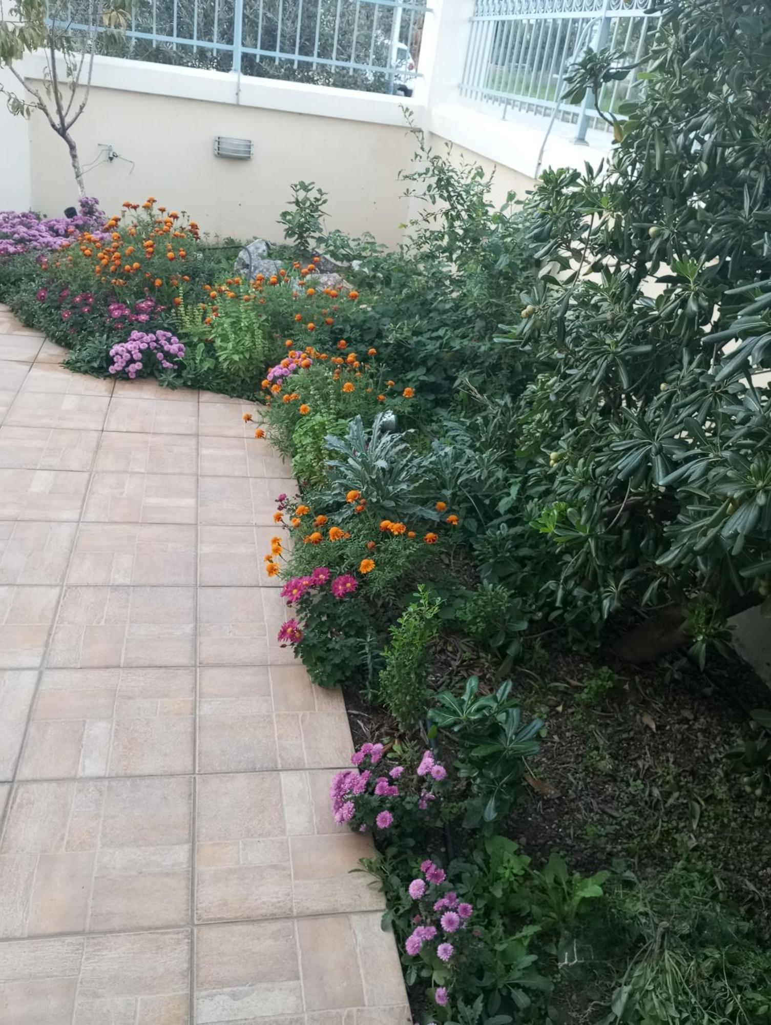 Dora'S Home With Garden Volos Eksteriør bilde